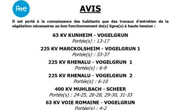 Travaux d'&eacute;lagage et abattage