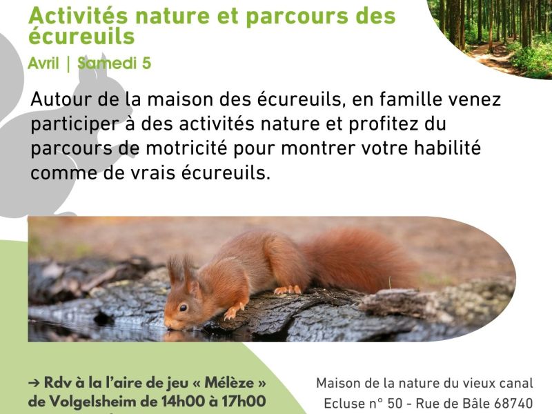 Activités nature et parcours des écureuils