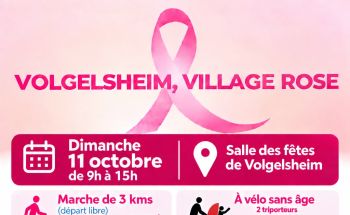 Volgelsheim, village rose