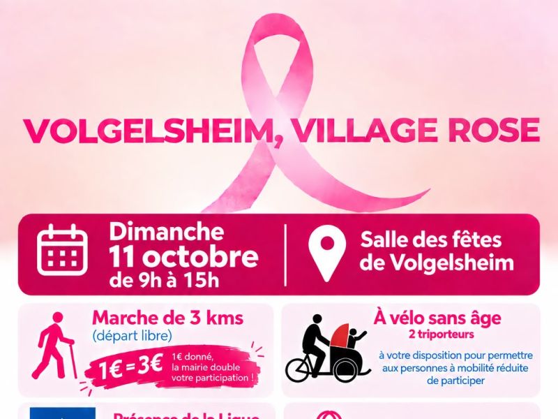 Volgelsheim - village rose